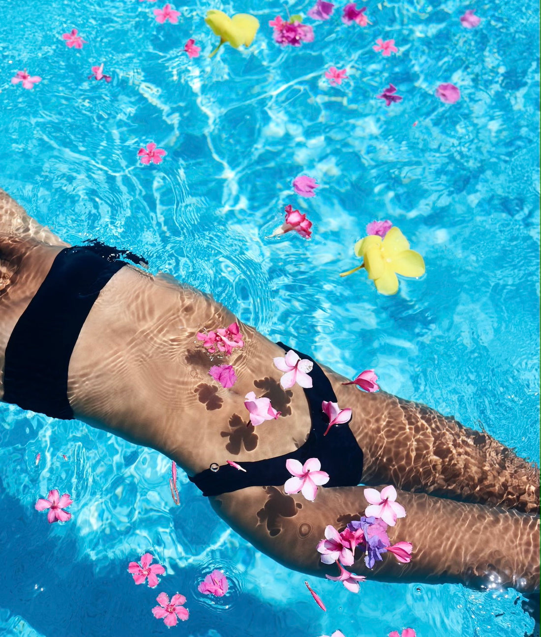 BIKINI VIII BOTTOM - BLACK