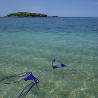BIKINI V TOP - LITIBU BLUE